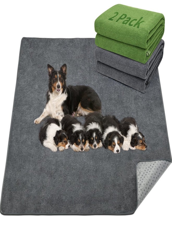 LOOBANI 2 Packs Extra Large Reusable Dog Mat for Floor, Non-Slip Washable Pee Pads for Dogs, Fast Absorbent Pet Whelping Pads, Puppy Playpen Mat for Incontinence, Housebreak, Crate, 72x72in, Mix - Image 1