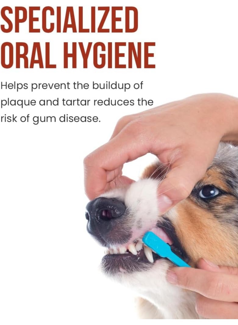 Bioline Tooth Paste Orange Flavor For Dogs 2X100G - Image 4