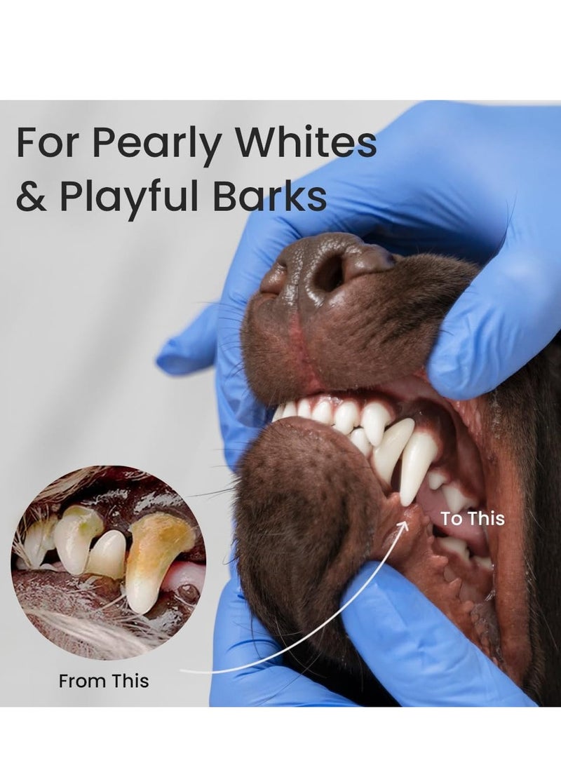 Bioline Tooth Paste Orange Flavor For Dogs 2X100G - Image 3