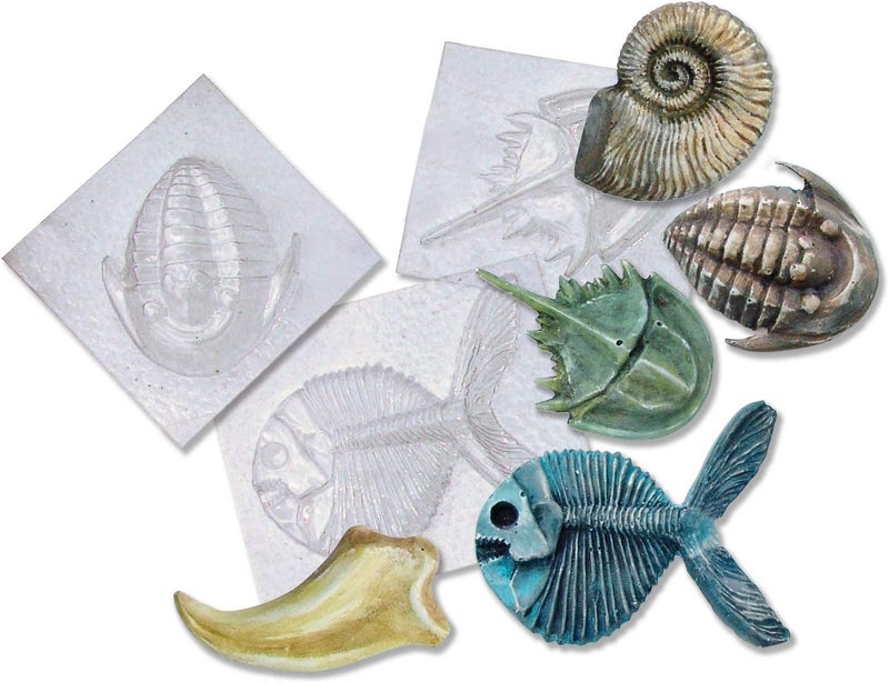 Roylco Fossil Molds  Ammonite Chirostenotes Claw Trilobite King Crab Gryodus - Image 1