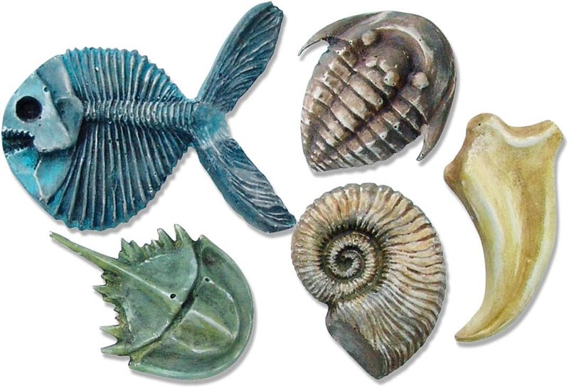 Roylco Fossil Molds  Ammonite Chirostenotes Claw Trilobite King Crab Gryodus - Image 2