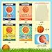 Leetous Basketball Valentines Day Cards Gifts for Kids School 24 PackMini Foam Basketball Toys with Exchange Cards for BoysValentines Sport Party Favors Goodie Bag Stuffers Classroom Treats for Toddlers - Image 4