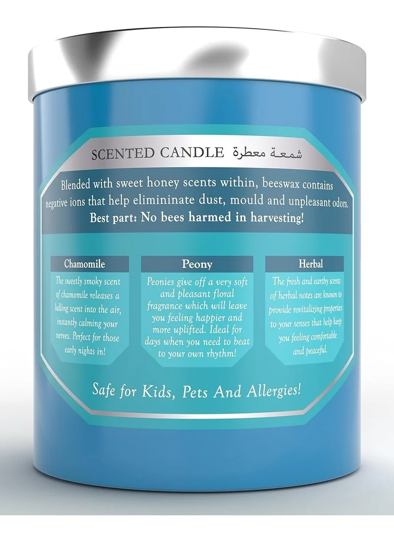 Shower Scents Shower Scents Northern Lights Perfumed Candle 230G, Green, C5346