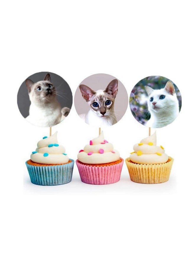 Hohamn 1.5" Cat Stickers For Kids Teachers 500 Pcs Cat Kitten Stickers For Toddlers Birthday Party School Reward Giveaways - Image 5