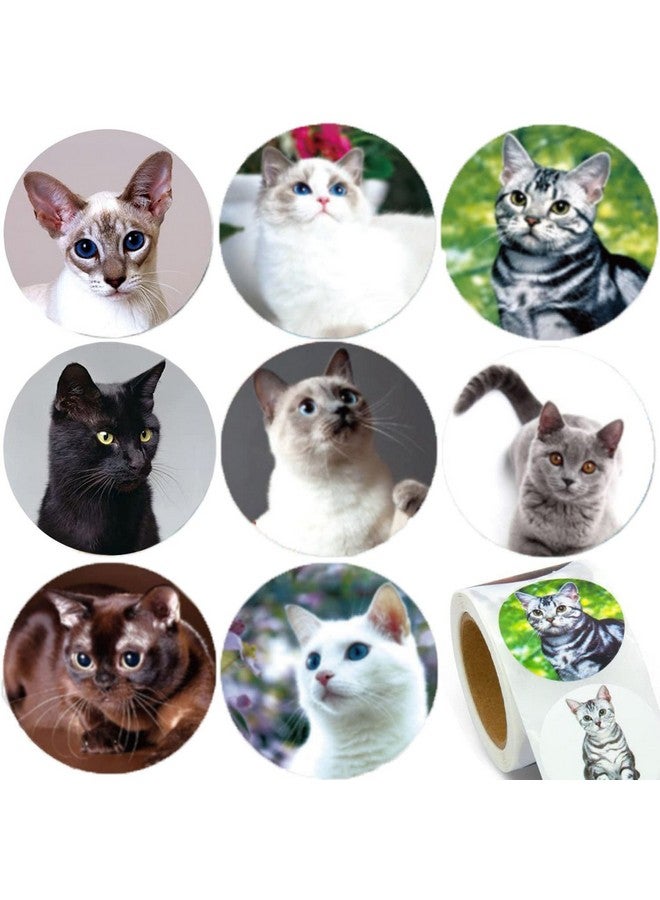 Hohamn 1.5" Cat Stickers For Kids Teachers 500 Pcs Cat Kitten Stickers For Toddlers Birthday Party School Reward Giveaways - Image 2