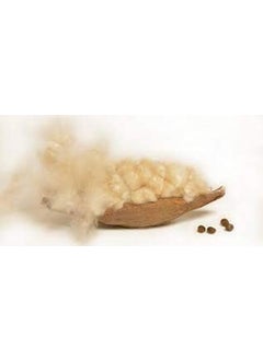 VG MATTRESS VG Mattress Organic kapok Silk Cotton ilavam panju for Filling Pillows 1kg  - Image 2