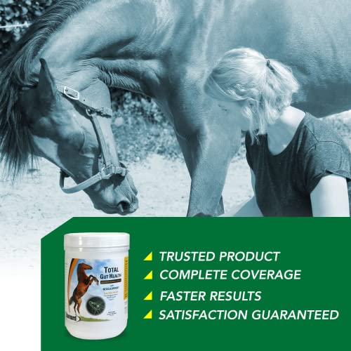 Ramard Total Gut Health Equine Digestive Support - Equine Gut Health Supplement Probiotics for Horses, Healthy Gut Vitamins, Gastric Relief, Optimum Digestive Health for Horses 1.12lb, 30-Day Supply - Image 5