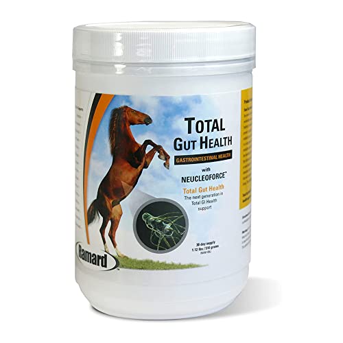 Ramard Total Gut Health Equine Digestive Support - Equine Gut Health Supplement Probiotics for Horses, Healthy Gut Vitamins, Gastric Relief, Optimum Digestive Health for Horses 1.12lb, 30-Day Supply - Image 1