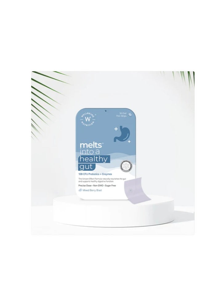WELLBEING NUTRITION - Wellbeing Nutrition Melts Healthy Gut (30 Oral Strips) - Image 1