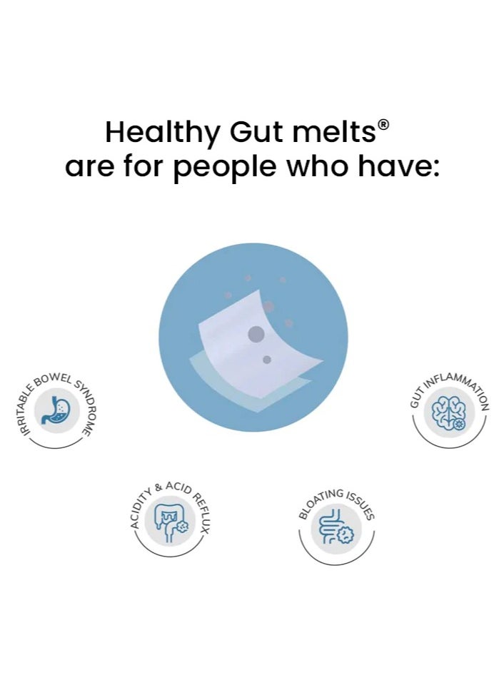 WELLBEING NUTRITION - Wellbeing Nutrition Melts Healthy Gut (30 Oral Strips) - Image 1