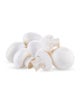 White Mushroom