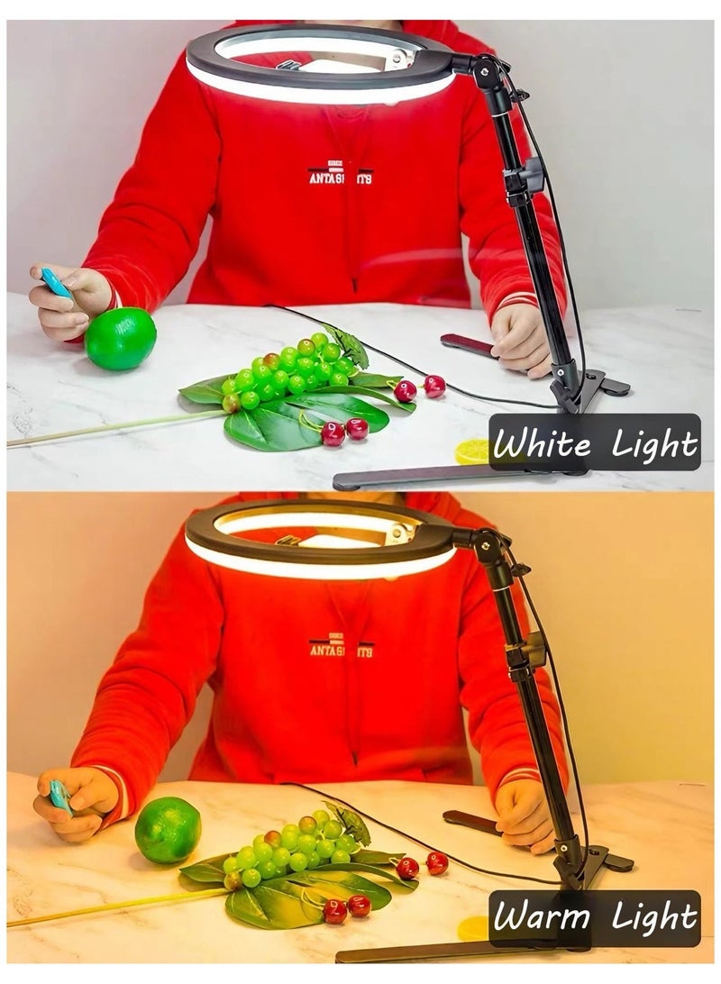 والالا ضوء حلقة تصوير فوتوغرافي مقاس 10 بوصة مع حامل مكتب وحامل هاتف، ضوء دائرة LED لسطح المكتب، ضوء حلقة للهاتف لصور السيلفي والمكياج والبث المباشر - Image 3