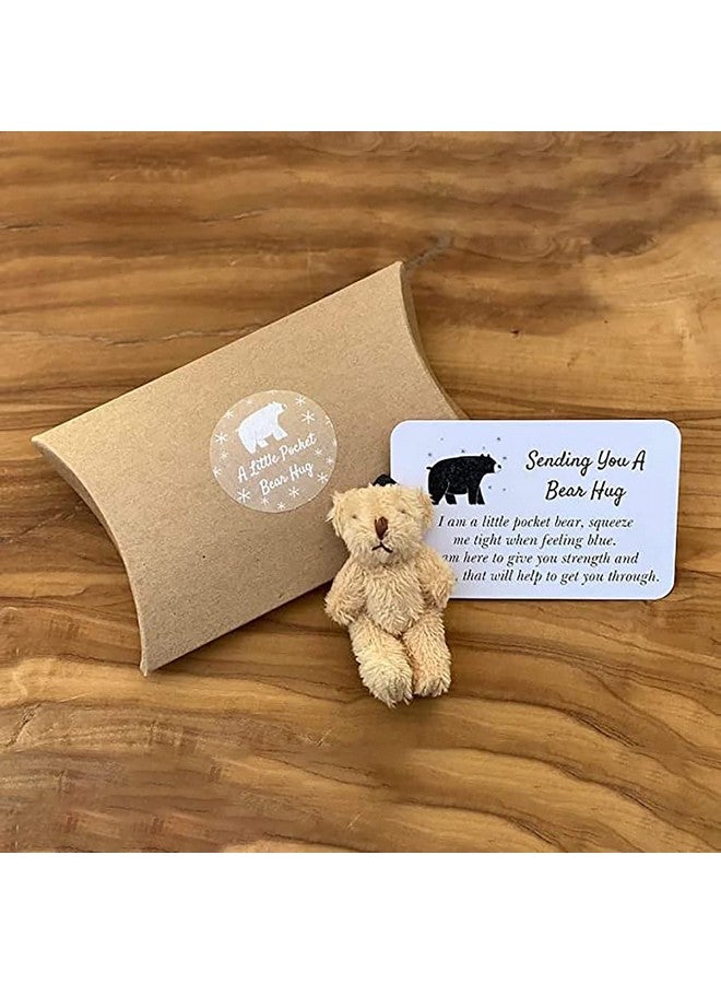 Siluyado A Little Pocket Bear Hug - Sending You a Bear Hug, with Pocket Hug Token Card, Emotional Support Plush Positive Gifts for Graduation Birthday (Bronze) - Image 1