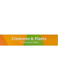 Levenhuk Labzz CP24 Living Things and Plants Prepared Slide Set  - Image 4