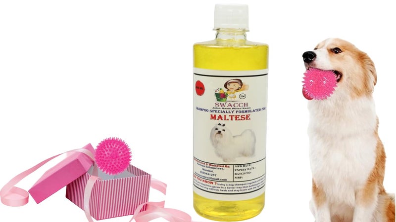 swacch Shampoo | Puppy Safe Shampoo | PH Balanced | Ditch to Itch for Maltese Dog Shampoo 500ml (Lemon) + Spike Ball Chew Toy Combo Pack - Image 1