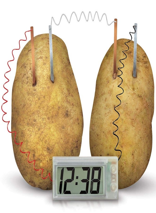 4M Potato Clock DIY Green Science Chemistry Engineering Lab - STEM Toys Educational Gift for Kids & Teens, Girls & Boys, Brown - Image 3