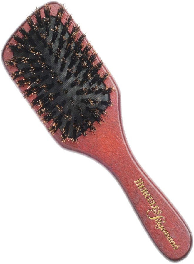 Hercules Sägemann Paddle Brush, Small, Pack of 1 - Image 1
