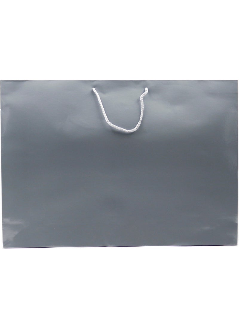 Repro Design Silver Premium Cardboard Bag 54 x 38 x 12 cm 2 Pieces Gift Bag  - Image 2