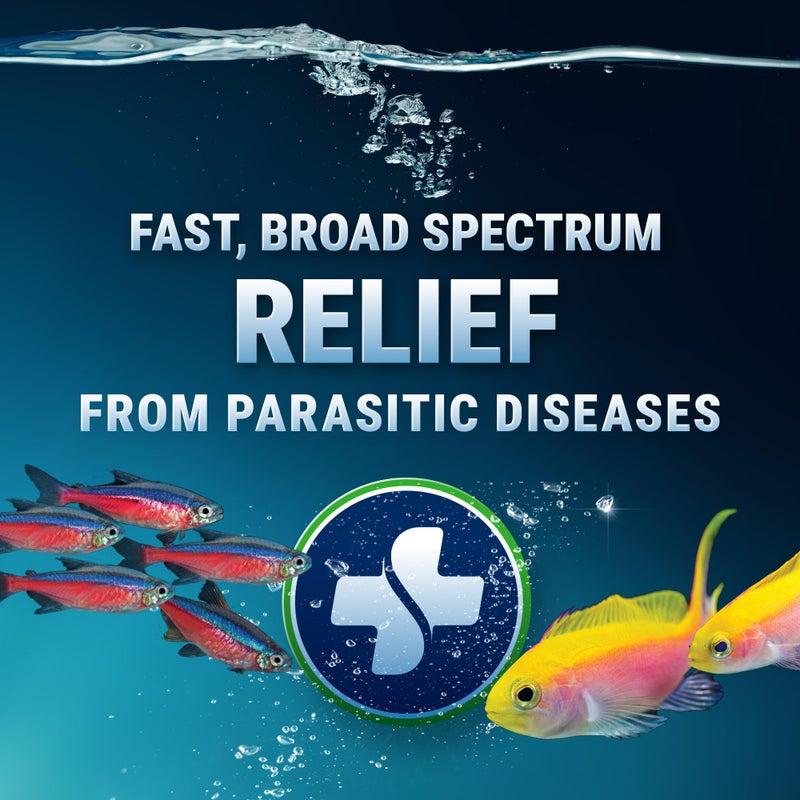 Fritz Aquatics ParaCleanse Provides Fast Relief from Parasitic Diseases (20-Count) - Image 2