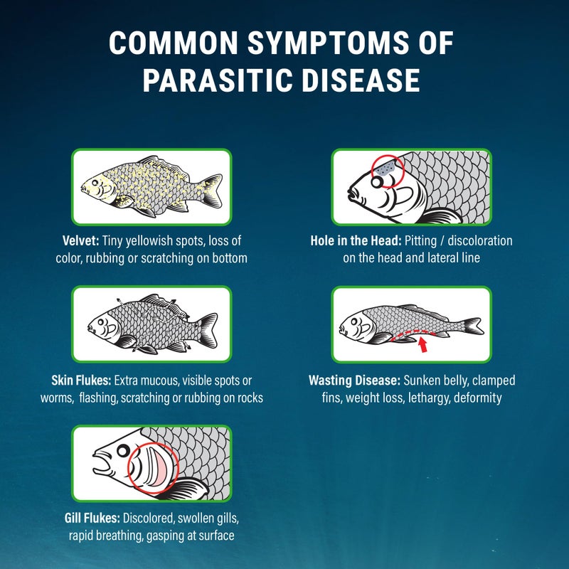 Fritz Aquatics ParaCleanse Provides Fast Relief from Parasitic Diseases (20-Count) - Image 4