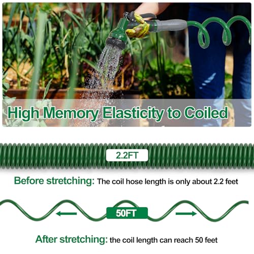 SPECILITE 3/8" Lightweight Coil Garden Hose 50 FT, EVA Flexible Curly Water Pipes with 6-Pattern Spray Nozzle for Boat, Greenhouse, Yard, Patio, Green - Image 2
