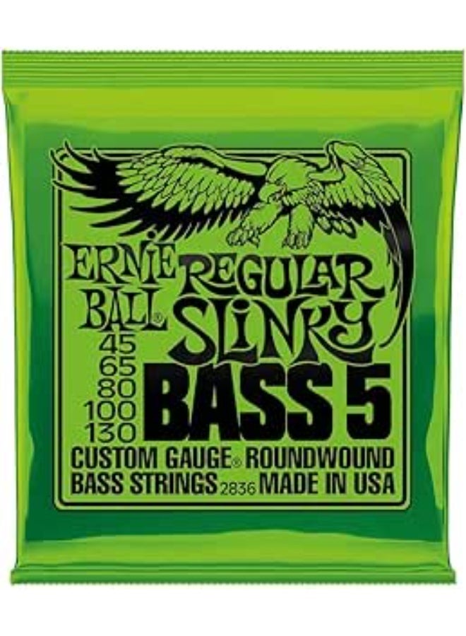 Ernie Ball Regular Slinky 5-String Nickel Wound Electric Bass Strings - 45-130 Gauge - Image 1