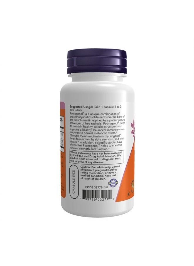 now - Supplements, Pycnogenol 60 mg (a Unique Combo of Proanthocyanidins from French Maritime Pine) with Acerola & Rutin Powder, 50 Veg Capsules - Image 1