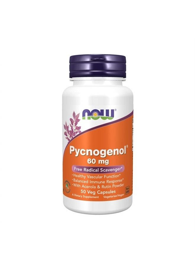 now - Supplements, Pycnogenol 60 mg (a Unique Combo of Proanthocyanidins from French Maritime Pine) with Acerola & Rutin Powder, 50 Veg Capsules - Image 1