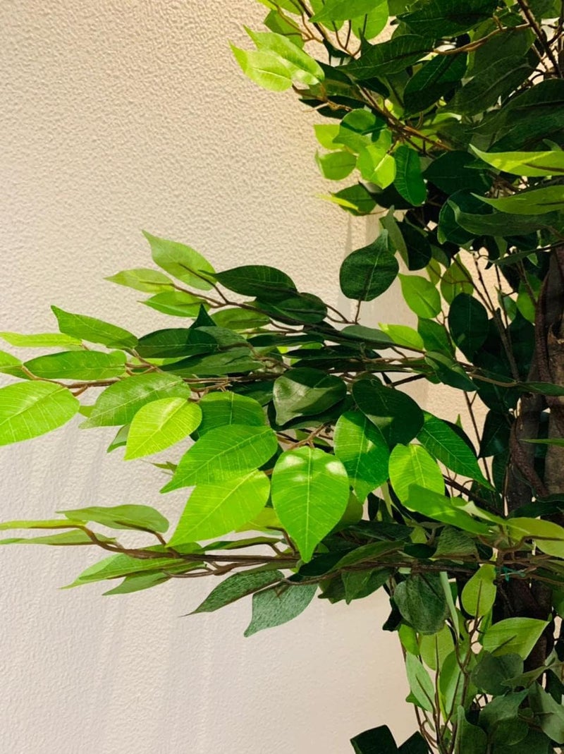 ARICK DECOR Arickdecor Artificial Ficus Plant for Home DecorOffice DecorGifting Natural Looking Indoor Plant with Pot 180 cm  - Image 4