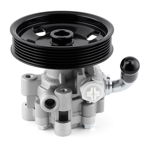 Farrme 04892093AA Power Steering Pump with Pulley Fit for Chrysler 300 for Dodge Challenger Charger Magnum Automotive Replacement Power Steering Pumps 4782523AC, 4782523AD 21-5439 Power Assist Pump - Image 1