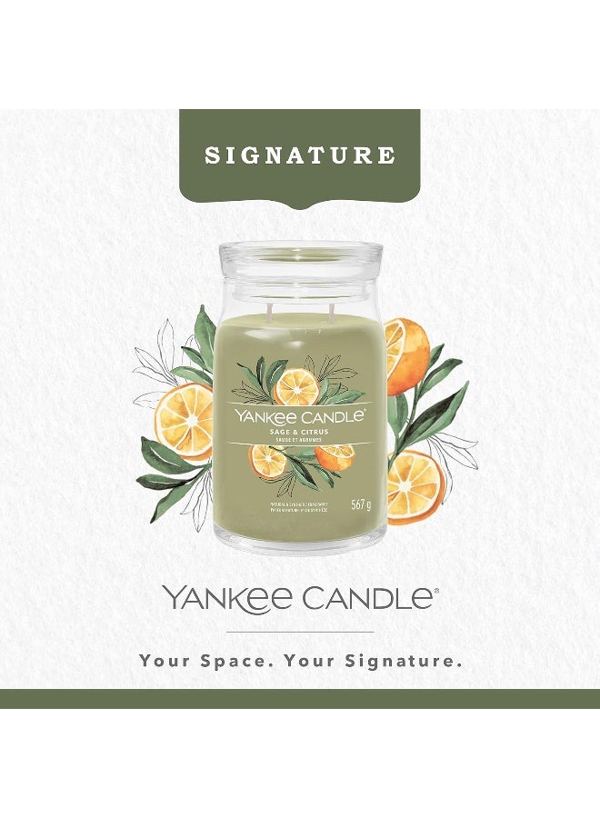 Yankee Candle Signature Scented Candle | Sage & Citrus Large Jar Candle with Double Wicks | Soy Wax Blend Long Burning Candle | Perfect Gifts for Women - Image 2