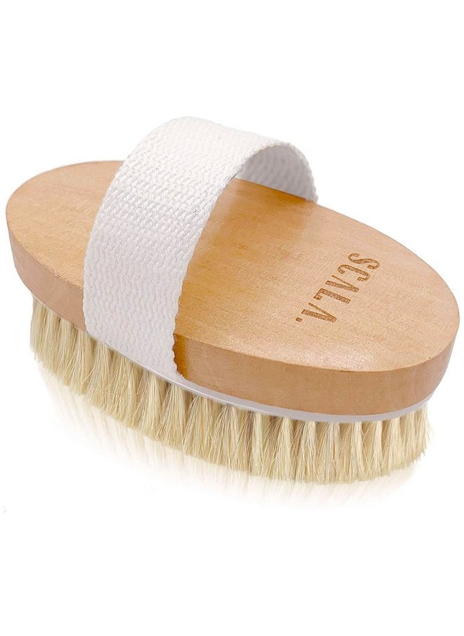 Scala Dry Brushing Body Brush Scala Natural Bristle Body Brush Soft Body Exfoliating Brush Scrub For Dead Skin Cellulite Lymphatic Drainage Blood Flow Thicker & Stronger Medium Strength  - Image 1