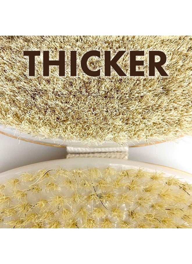 Scala Dry Brushing Body Brush Scala Natural Bristle Body Brush Soft Body Exfoliating Brush Scrub For Dead Skin Cellulite Lymphatic Drainage Blood Flow Thicker & Stronger Medium Strength  - Image 3