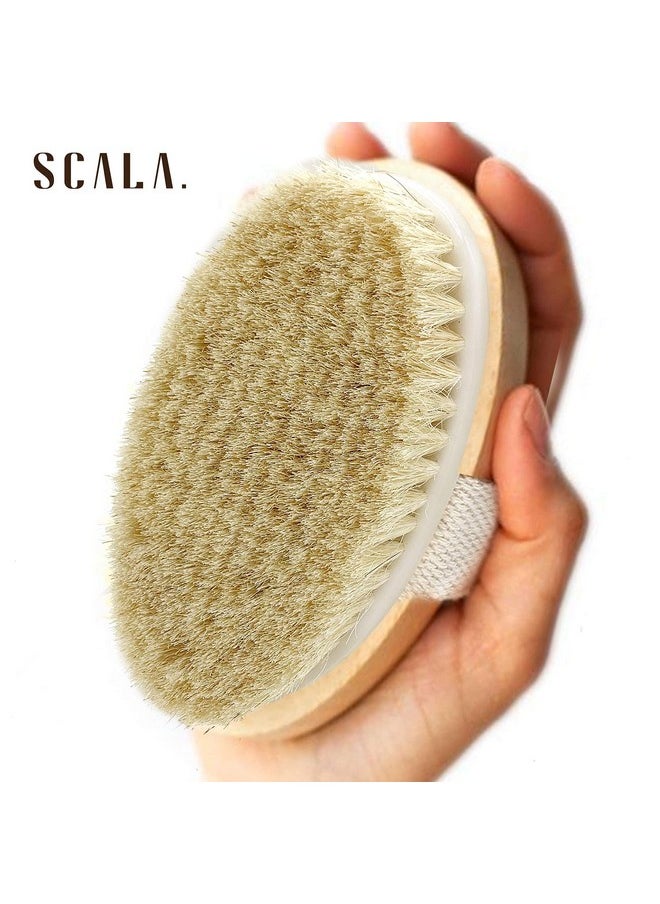 Scala Dry Brushing Body Brush Scala Natural Bristle Body Brush Soft Body Exfoliating Brush Scrub For Dead Skin Cellulite Lymphatic Drainage Blood Flow Thicker & Stronger Medium Strength  - Image 4