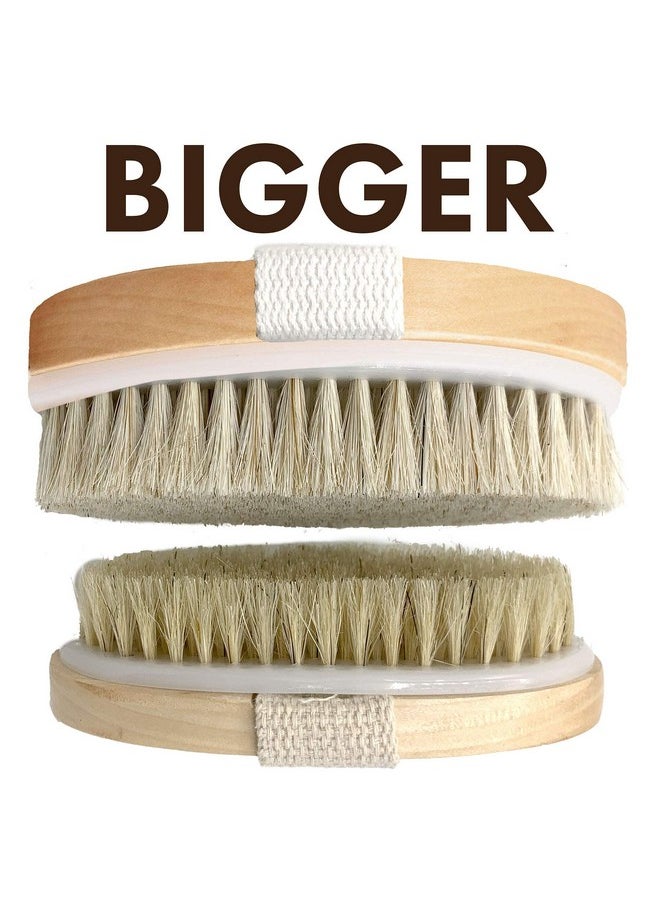 Scala Dry Brushing Body Brush Scala Natural Bristle Body Brush Soft Body Exfoliating Brush Scrub For Dead Skin Cellulite Lymphatic Drainage Blood Flow Thicker & Stronger Medium Strength  - Image 5