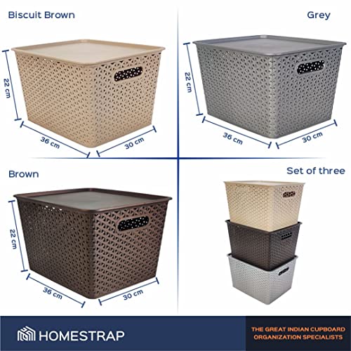 HomeStrap Rectangular Set Of 3 Large Plastic Storage Organizers/Baskets With Lid For Kitchen, Clothes, Multipurpose Vegetables, Toys, Books, Office, Stationery, Wardrobe(Biscuit, Grey, Brown) - Image 2