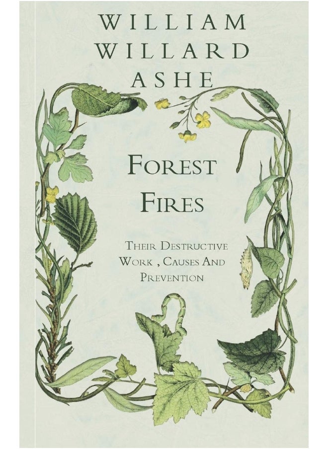 Forest Fires - Their Destructive Work, Causes And Prevention 