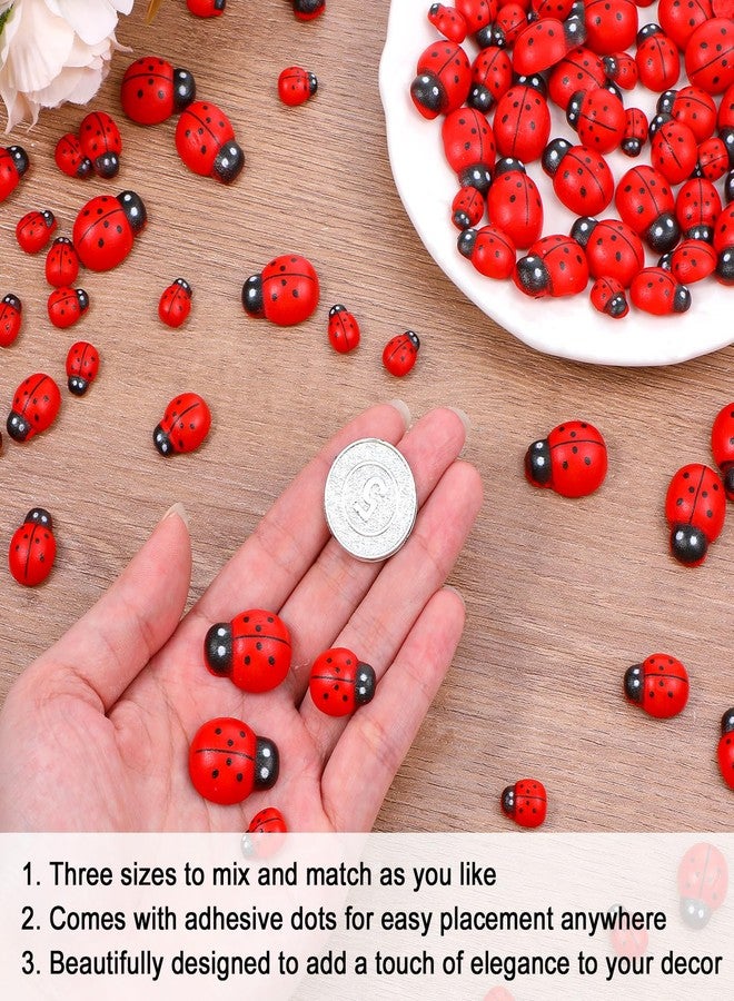 HaiFafafaing 150 Pcs Mini Resin Ladybug Decor, 3 Sizes Wooden Tiny Ladybug Ornaments, Flatback Pendants for DIY Craft, Home Decoration, Scrapbooking - Image 3