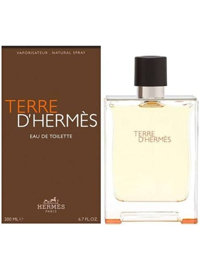 HERMES Terre D' EDT 200ml - Image 2