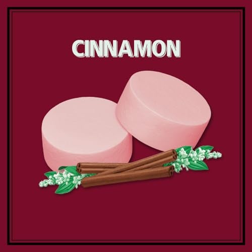ALTOIDS Classic Cinnamon Hard Candy Breath Mints Bulk 176 zz Tin Pack of 12 - Image 5