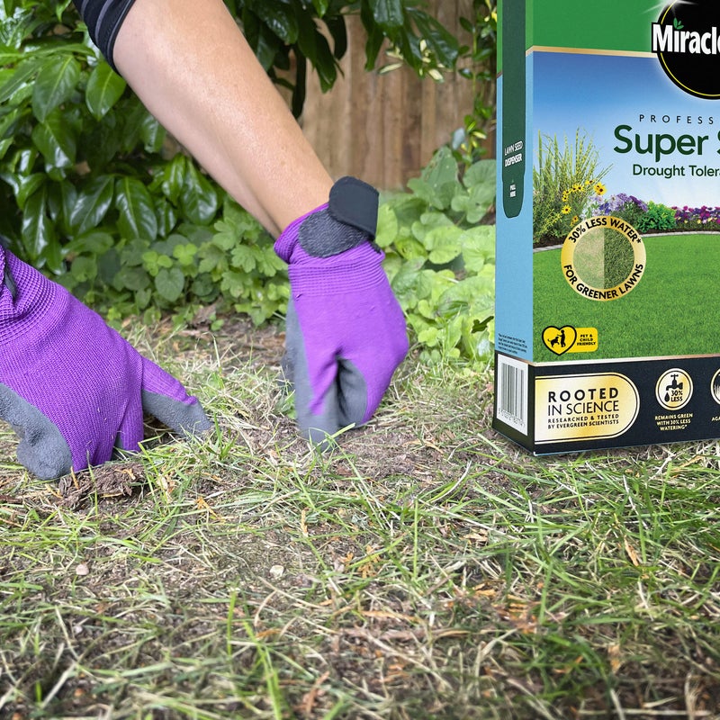 Miracle-Gro Professional Drought Tolerant Lawn Seed, 33 m2 - Image 4