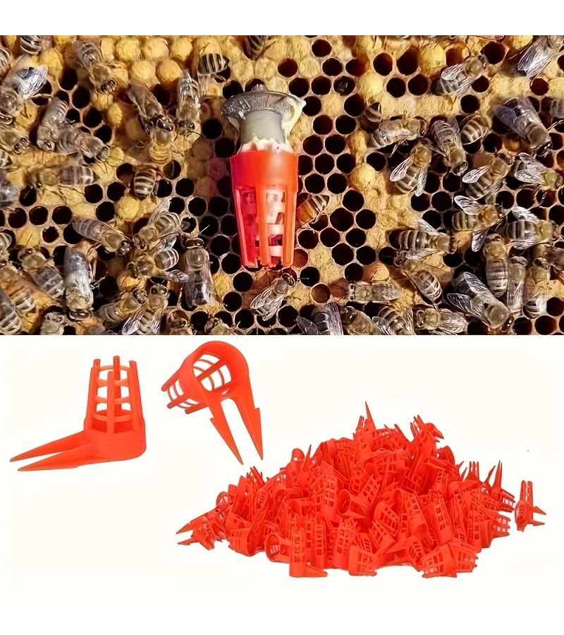 30 Pcs Beekeeping Tools Plastic Queen Bee Cage Anti Bite Protective Cover Beekeeping Plastic Cage Cup Split Opening With Thorns Royal Bee Protective Cover Queen Bee Protector - Image 1