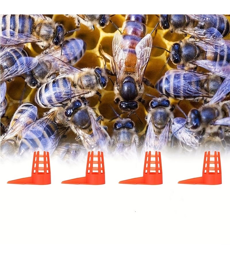 30 Pcs Beekeeping Tools Plastic Queen Bee Cage Anti Bite Protective Cover Beekeeping Plastic Cage Cup Split Opening With Thorns Royal Bee Protective Cover Queen Bee Protector - Image 4