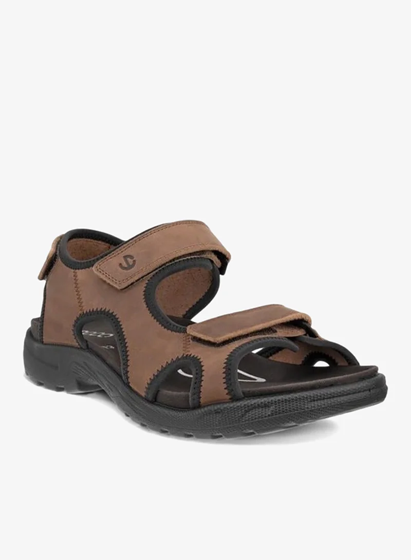 إيكو إيكو أون رودز إم بني كاكاو