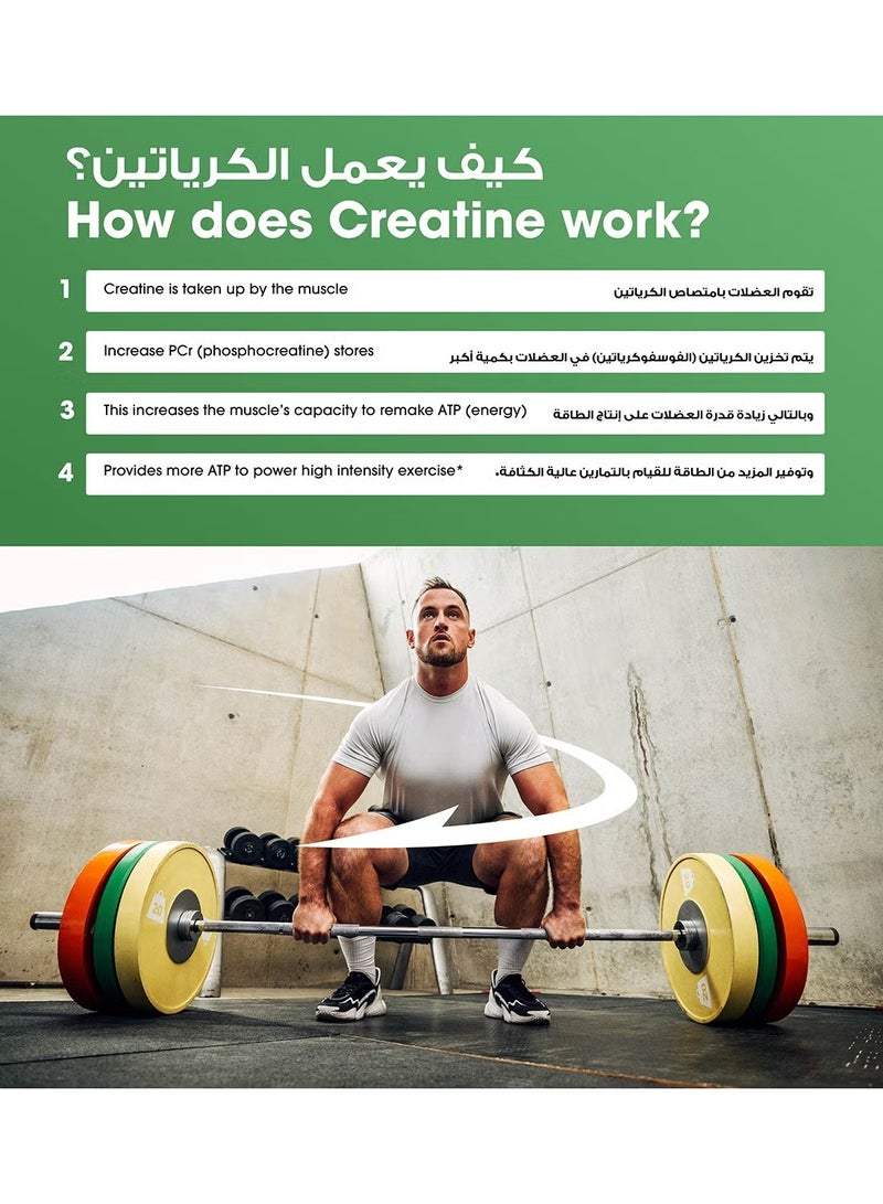 أون مسحوق كرياتين ميكرونيز غير نكهة 300 غرام 115 حصة - Image 5