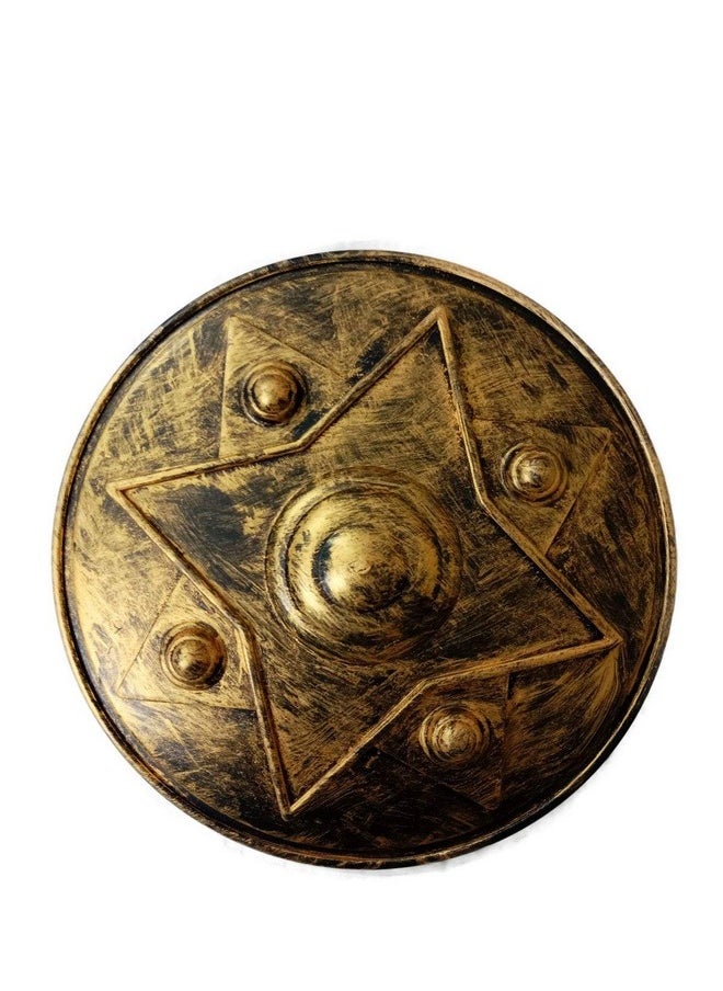 BookMyCostume - BookMyCostume Antique War Shield Dhaal Single Piece Kids Adults Fancy Dress Costume Accessory Silver - Image 1