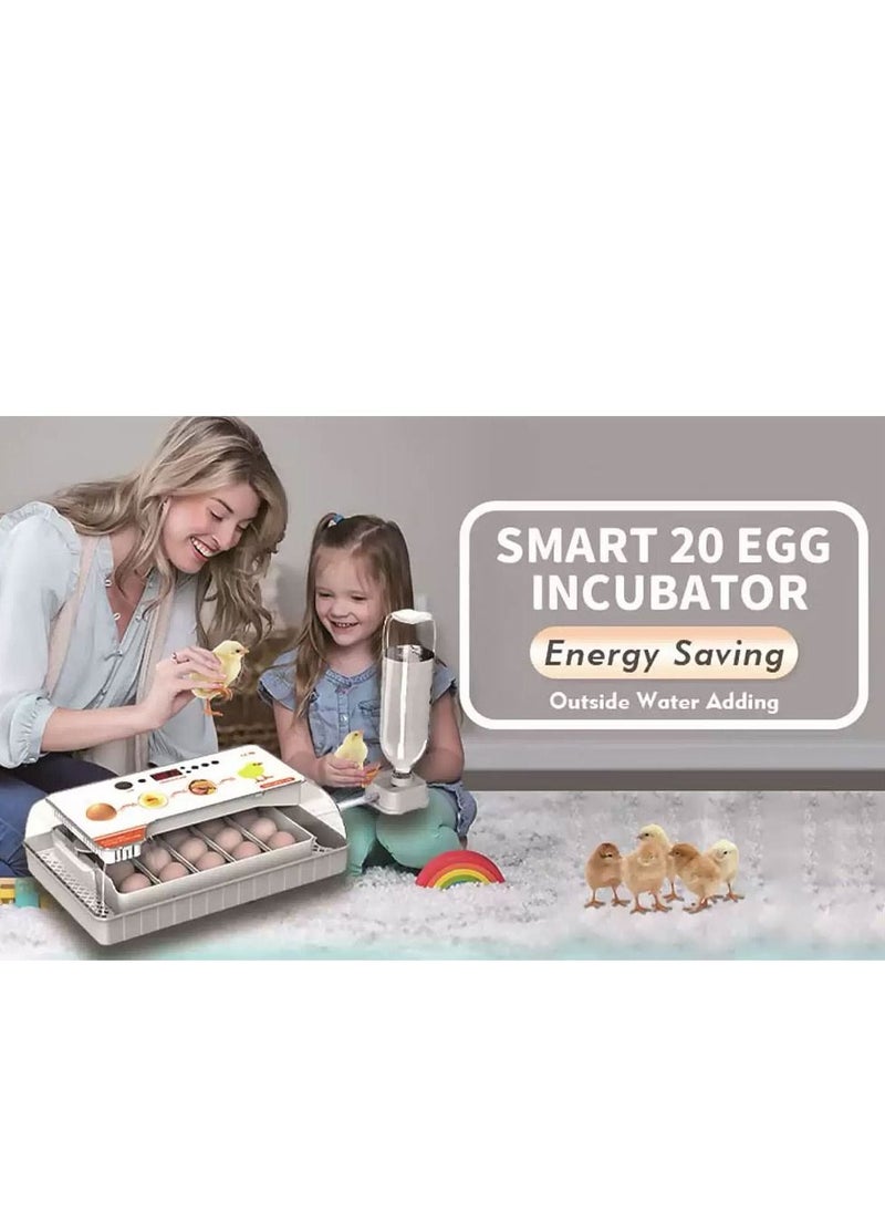 CATANES - Egg Candler Egg Incubator with Automatic Egg Turning and Humidity Control 20 Eggs Hatcher Machine - Image 1