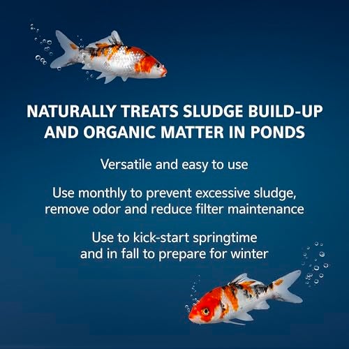 Aqueon Pure Sludge Bomb Reduces Sludge and Organic Waste in Ponds and Koi Habitats Breaks Down Muck and Clarifies Treats 2500 Gallons 1Pack - Image 3