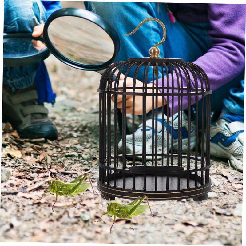 POPETPOP Cage Storage Holder for Insects Handmade Observation Cage with Smooth Surface for Nature Lovers for Keeping Crickets Other Small Creatures - Image 4