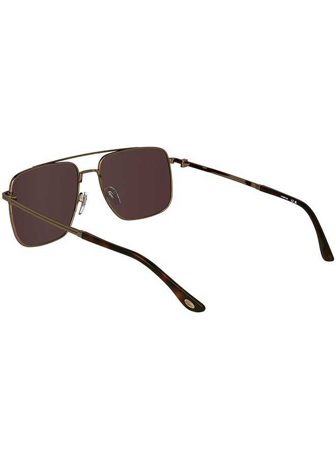 LACOSTE FULL RIM METAL LACOSTE SUNS L272S 5817 (750) AMBER GOLD - Image 2